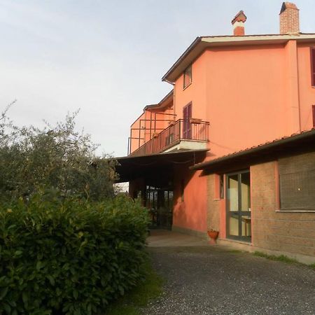 Il Contado B&B Castel Sant'Elia 외부 사진