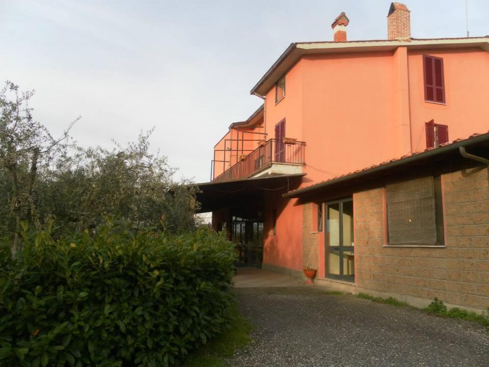 Il Contado B&B Castel Sant'Elia 외부 사진