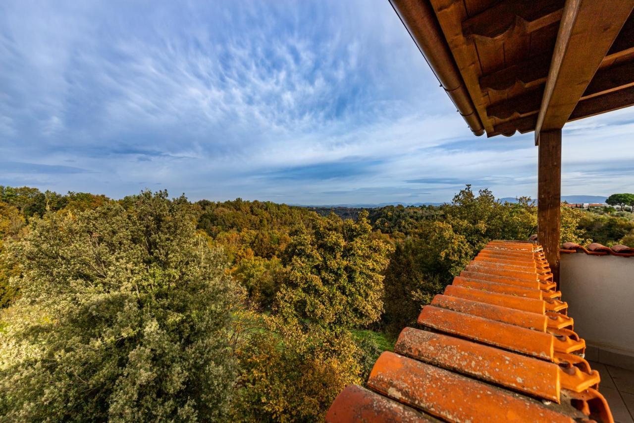 Il Contado B&B Castel Sant'Elia 외부 사진